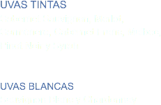 UVAS TINTAS
Cabernet Sauvignon, Merlot, Carmènere, Cabernet Franc, Malbec, Pinot Noir y Syrah UVAS BLANCAS
Sauvignon Blanc y Chardonnay 