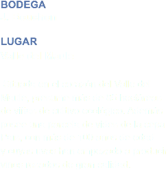 BODEGA J. Bouchon LUGAR
Valle del Maule  Situada en el corazón del Valle del Maule, presume más de 85 hectáreas de viñas de cultivo ecológico. Además posee una parcela de vides de la cepa País, con más de 100 años de edad  y cuyas uvas han empezado a producir vinos rosados de gran calidad.
