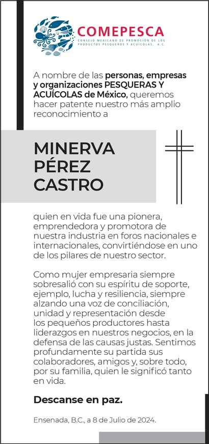 Señora Minerva Pérez Castro Obituario Esquela