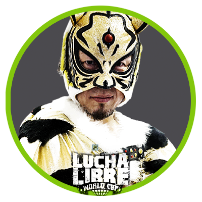 LUCHA LIBRE MEXICANA VOL 1 Los GLADIADORES DEL RING LLWF FMLL